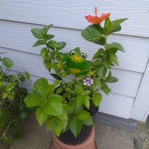 Meet your Posher, Brenda